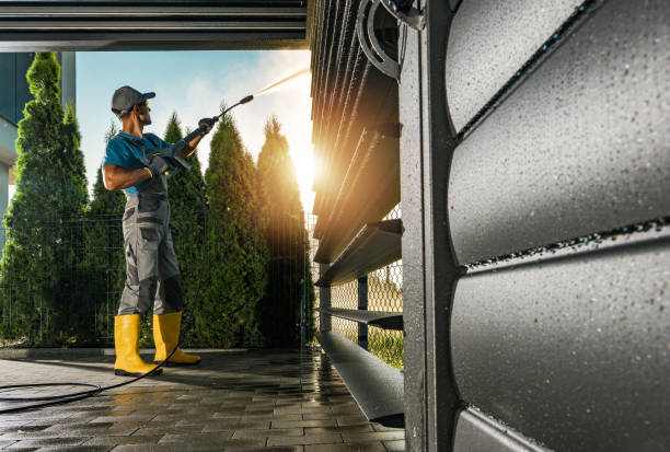 Best Sidewalk and Walkway Cleaning  in Green Oaks, IL